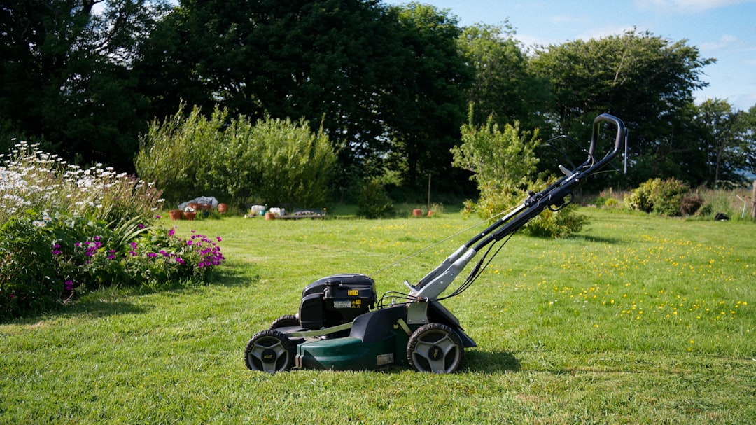 A lawnmower standing on a freshly cut lawn